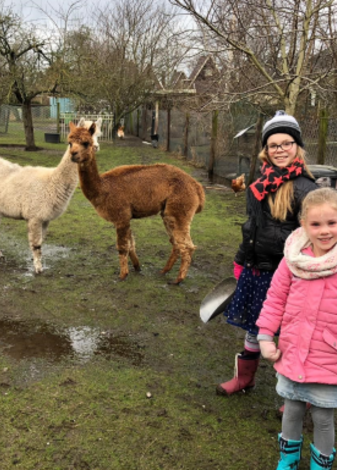 Dieren verzorgen voor mensen die dat zelf even niet kunnen