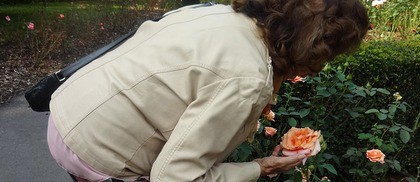 header