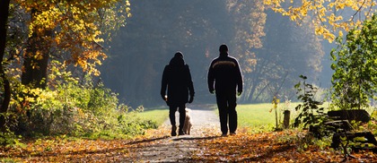 walking