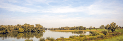 Hoeksche Waard header